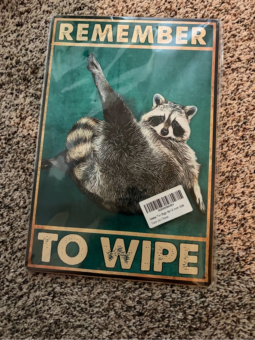 Remember To Wipe Raccoon Wall Sign - Teal & Cream